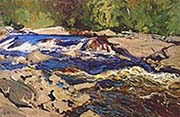 Thompson's Rapids Magnetawan River